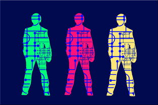 米兰体育网页版登录-中国足球青训人才成长周期趋势数据,中国足球青训将来的发展