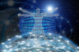 米兰体育网页版登录-中国足球青训人才成长周期趋势数据,中国足球青训将来的发展